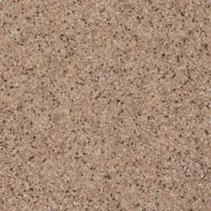 Biscuit color sample
