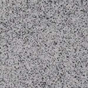 Dalmation color sample